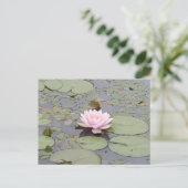 Lotus Flower Soft Pink Floral Pond Zen Briefkaart (Staand voorkant)