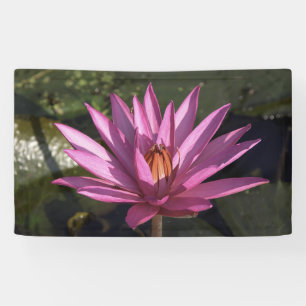 Lotus Flower Spandoek