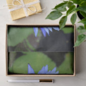 Lotus flower tissuepapier (Geschenk)