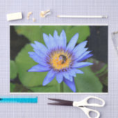 Lotus flower tissuepapier (Craft)