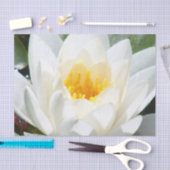 Lotus Flower Tissuepapier (Craft)