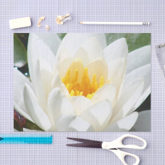 Lotus Flower Tissuepapier (Craft)