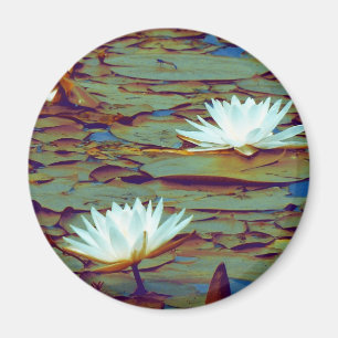 Lotus Flowers Magneet