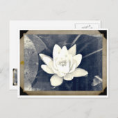 LOTUS  FOTOGRAPH BRIEFKAART (Voorkant / Achterkant)