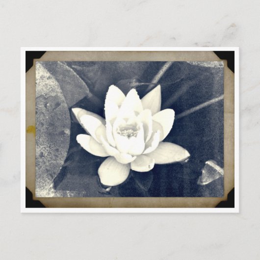 LOTUS  FOTOGRAPH BRIEFKAART (Voorkant)