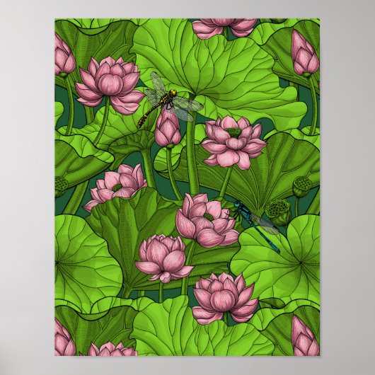 Lotus garden poster (Voorkant)