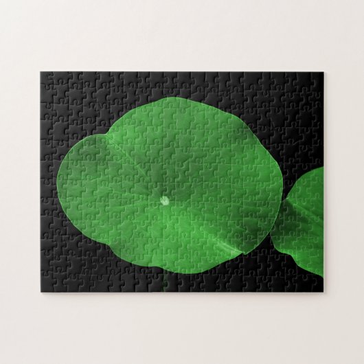 Lotus Leaves Legpuzzel (Horizontaal)