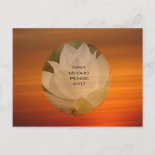 Lotus "Nam Myoho Renge Kyo" Carte postale bouddhis