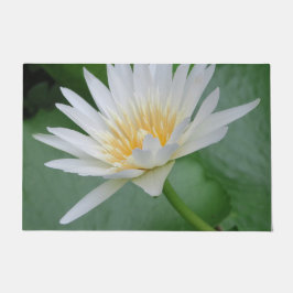 Lotus, Namaste, meditatie, zen, winkels, plant, na Deurmat