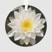 Lotus Nymphéa Flottant (dos)