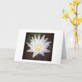 "LOTUS PEINTS" CARTE D'ACCUEIL (Fleur jaune)