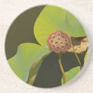 Lotus Pod en Lilly Pad Zandsteen Onderzetter