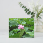 Lotus Post Card Briefkaart (Staand voorkant)