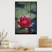lotus poster (Keuken)