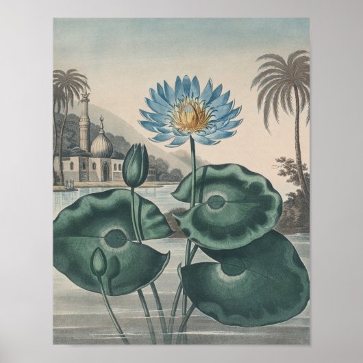Lotus Poster (Voorkant)