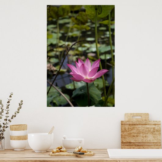 Lotus Poster (Keuken)
