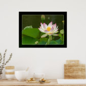 Lotus Poster (Keuken)