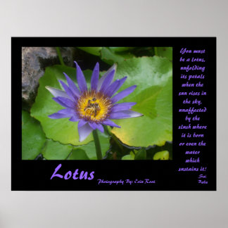 Lotus Poster met citaten van Sai Baba
