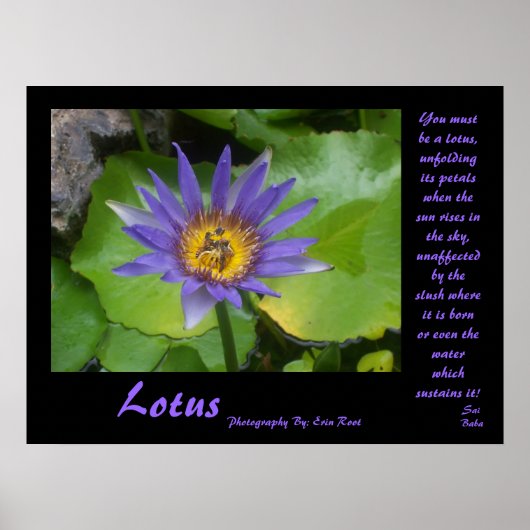 Lotus Poster met citaten van Sai Baba (Voorkant)