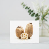 Lotus roots briefkaart (Staand voorkant)