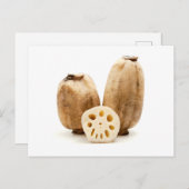 Lotus roots briefkaart (Voorkant / Achterkant)