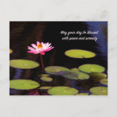 Lotus Rose Avec Paix Et Carte Postale Sérénissime (Devant)