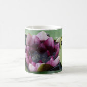 Lotus rose Fleur Photo Classique Mug Blanc (Centre)