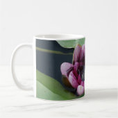 Lotus rose Fleur Photo Classique Mug Blanc (Gauche)