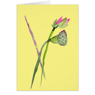 Lotus rose Fleur Zen Art bouddhiste