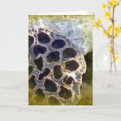 Lotus Seed Pod Kaart (Gele Bloem)