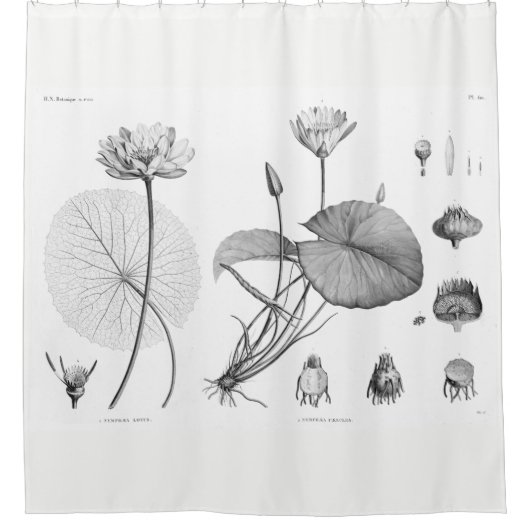 Lotus Shower Curtain Douchegordijn (Voorkant)