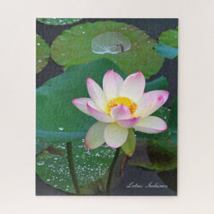 Lotus "Suihiren" [Jigsaw puzzle : 520P] ジ グ ソ ー パ 