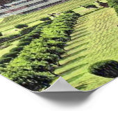 Lotus Temple Delhi India Poster (Hoek)