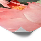 Lotus Vijver Roze Flamingo  Poster (Hoek)