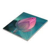Lotus Water Lily Flower Tegeltje (Zijkant)