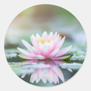 LOTUS - ZEN BOEDDHISME RONDE STICKER