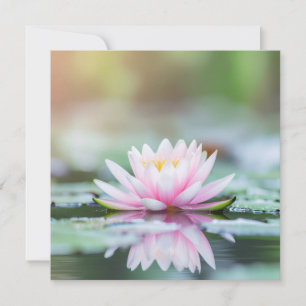 LOTUS - ZEN BOEDDHISME - Wenskaarten