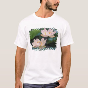 Lotusbloem in bloei, China T-shirt