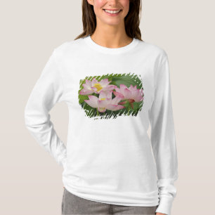 Lotusbloem, Nelumbo nucifera, China 2 T-shirt