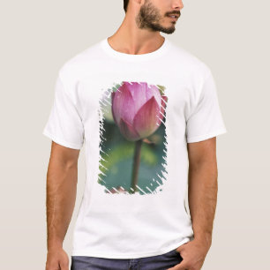 Lotusbloemknop, Hangzhou, provincie Zhejiang, T-shirt