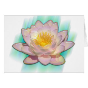 Lotusbloom
