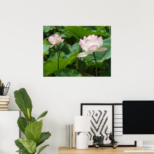 Lotuses Poster (Thuiskantoor)