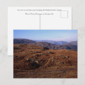 Loughrigg Fell Ambleside Briefkaart (Voorkant / Achterkant)