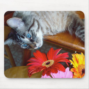Louie Cat's ventilator Bliss Mousepad Muismat