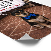 "Louie kijkt naar je" Poster (Hoek)