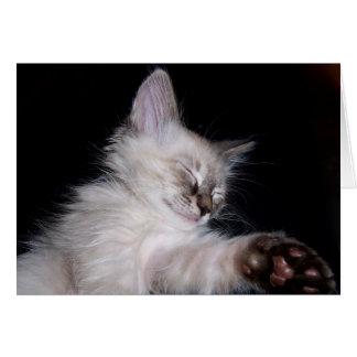 Louie's Slumber Smile