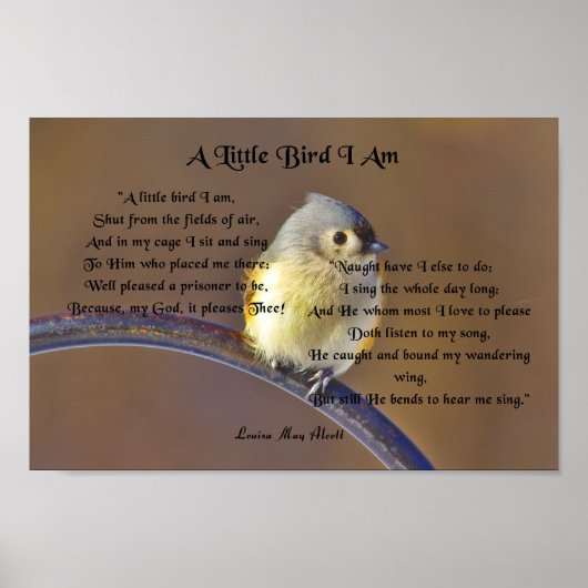 Louisa May Alcott, een kleine vogel die ik ben Poster (Voorkant)