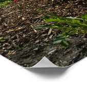 Louise Poster (Hoek)