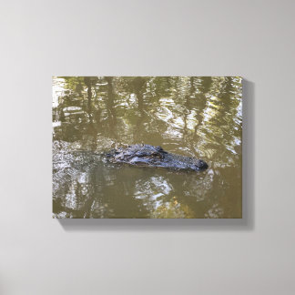 Louisiana-alligator Canvas Afdruk