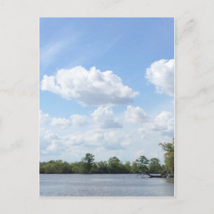 Louisiana Bayou Briefkaart
